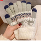 Warm Touchscreen Gloves