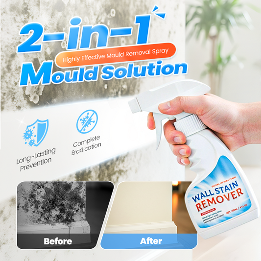 🔥Vendita Calda 2025🔥Spray Altamente Efficace per la Rimozione della Muffa - Previene la Ricrescita