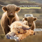 🎁Pupazzo di peluche a forma di mucca delle Highlands dei cartoni animati