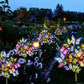 🔥Nuova collezione 2026: sconto del 50% solo per un periodo limitato!🔥Luci Solari da Giardino a Forma di Farfalla