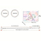 🎁Kit per Creare Braccialetti con Ciondoli