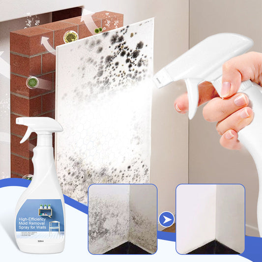 Spray antimuffa ad alta efficacia per pareti