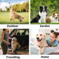 Pratiche, efficienti salviette senza lavaggio per animali domestici, guanti