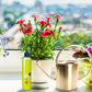 🌿 Compra 1, ottieni 1 OMAGGIO! Nutriente Liquido Multiuso per Piante – Interni & Esterni, Solo 2-3 Volte al Mese per Fioriture Rigogliose! 🌱💧✨