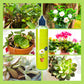 🌿 Compra 1, ottieni 1 OMAGGIO! Nutriente Liquido Multiuso per Piante – Interni & Esterni, Solo 2-3 Volte al Mese per Fioriture Rigogliose! 🌱💧✨