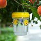 Trappola solare per moscerini della frutta ☀️