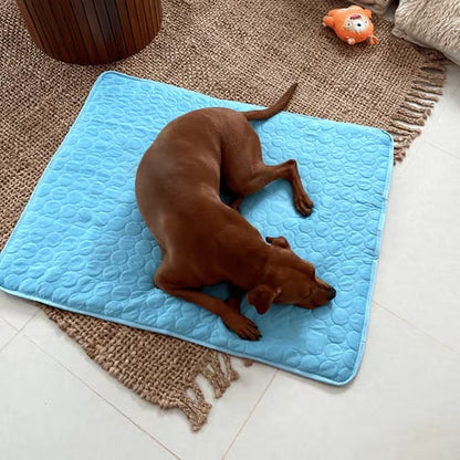 ❄️🐾Tappetino rinfrescante per animali domestici (effetto rinfrescante 4 volte più potente)🐶 Un must-have estivo per ogni proprietario di animali domestici