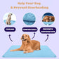 ❄️🐾Tappetino rinfrescante per animali domestici (effetto rinfrescante 4 volte più potente)🐶 Un must-have estivo per ogni proprietario di animali domestici