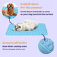 ❄️🐾Tappetino rinfrescante per animali domestici (effetto rinfrescante 4 volte più potente)🐶 Un must-have estivo per ogni proprietario di animali domestici