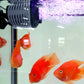 Pompa di circolazione dell'acqua per acquario Mini Wave Maker