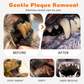 🦷 Penna per pulizia dentale per animali domestici – igiene orale facile e veloce! (2 pezzi) 🐾