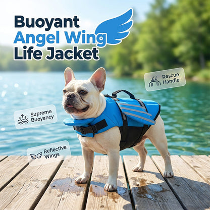🐶🦺 Giubbotto di salvataggio riflettente a forma di ali d'angelo per cani ✨🌊