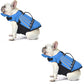 🐶🦺 Giubbotto di salvataggio riflettente a forma di ali d'angelo per cani ✨🌊