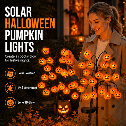 🥳SALDI 2026🥳💞OLTRE 50.000 VENDUTI!🎃🦇 SCONTO DEL 50%!👻Luci solari impermeabili a forma di zucca per Halloween.
