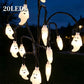 🥳SALDI 2026🥳💞OLTRE 50.000 VENDUTI!🎃🦇 SCONTO DEL 50%!👻Luci solari impermeabili a forma di zucca per Halloween.