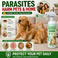 🥳SCELTA MIGLIORE 2026🥳 Spray antipulci per animali domestici – A base vegetale, delicato ma efficace – Respinge i parassiti, neutralizza gli odori – Sicuro se leccato! 🛡️💨