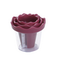 🥕✨ Spiralizzatore e arricciatore manuale per verdure per intagliare rose – Trasforma le carote in rose da ristorante in 60 secondi! 🌹🍽️