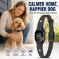Collare antiabbaio intelligente per cani