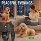 Collare antiabbaio intelligente per cani